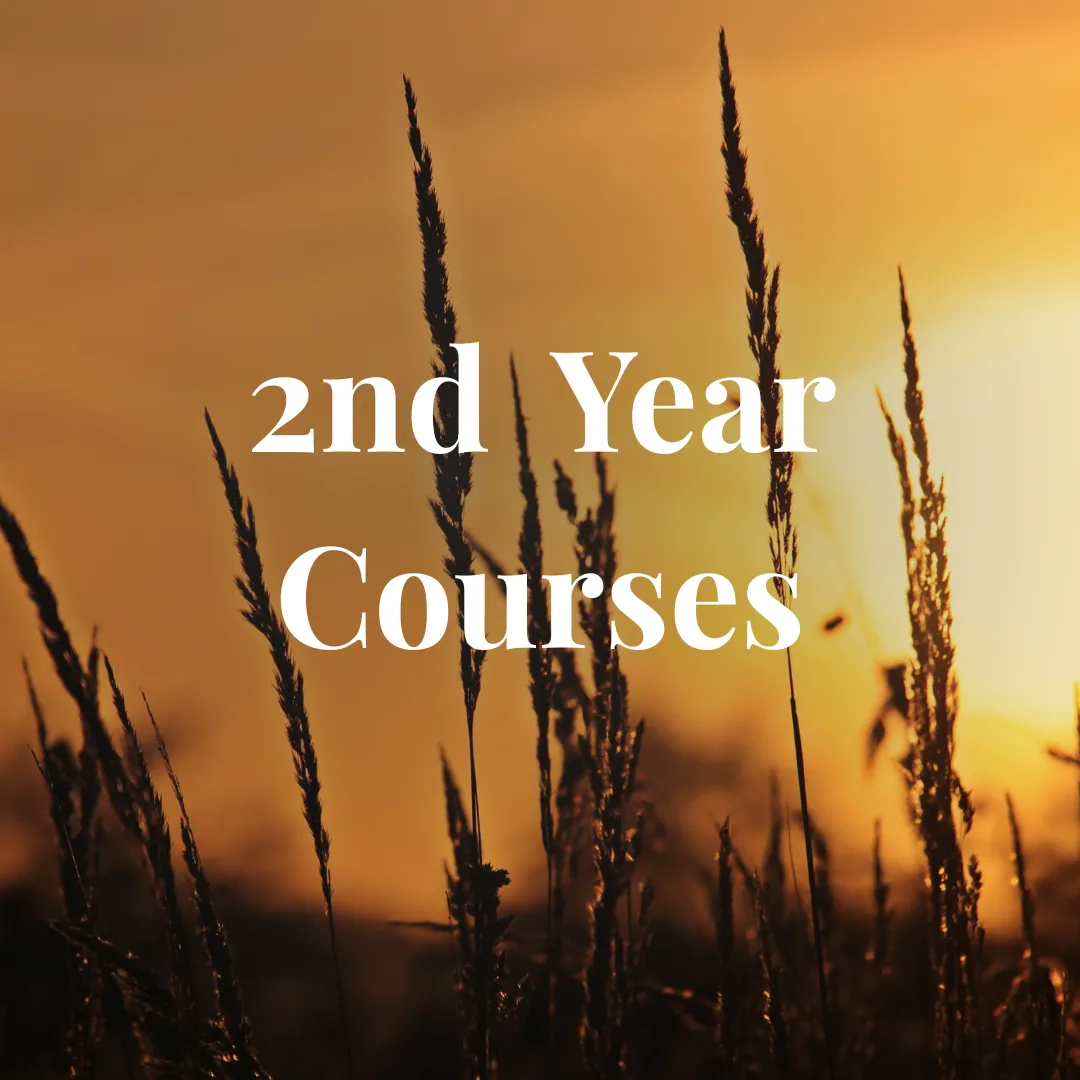 2nd Year Degree