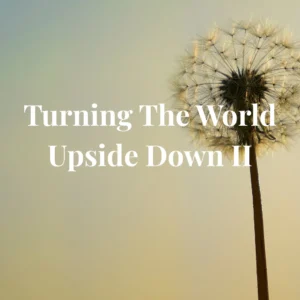 BI-205B Acts-Turning The World Upside Down II