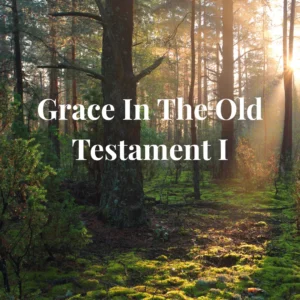TH-205 Grace In The Old Testament I