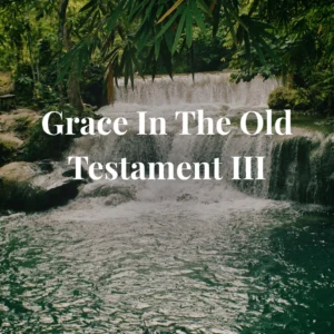 TH-207 Grace In The Old Testament III